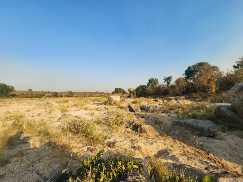 Rocky dry riverbed in African bushveld