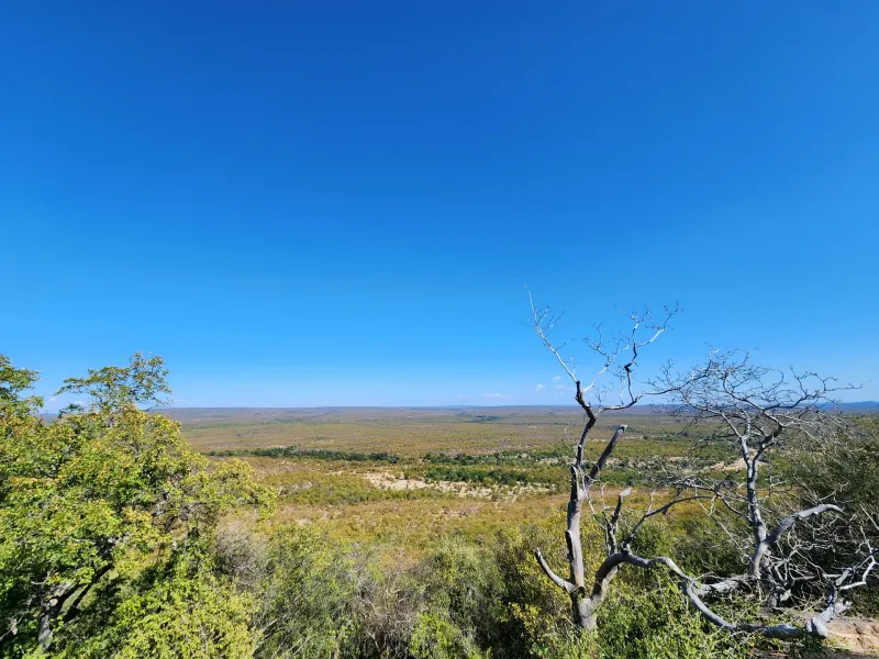 Expansive bushveld vista from elevated viewpoint