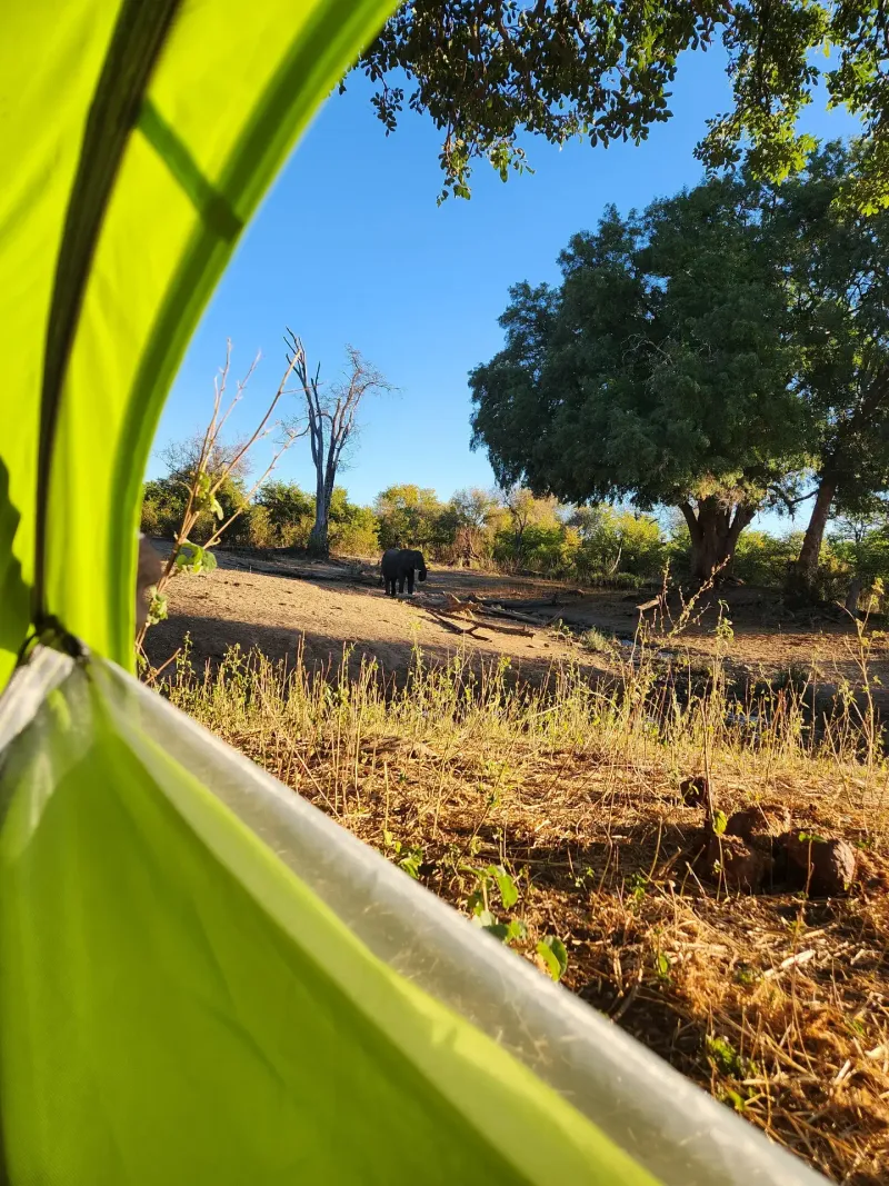 Campsite view through open green tent flap