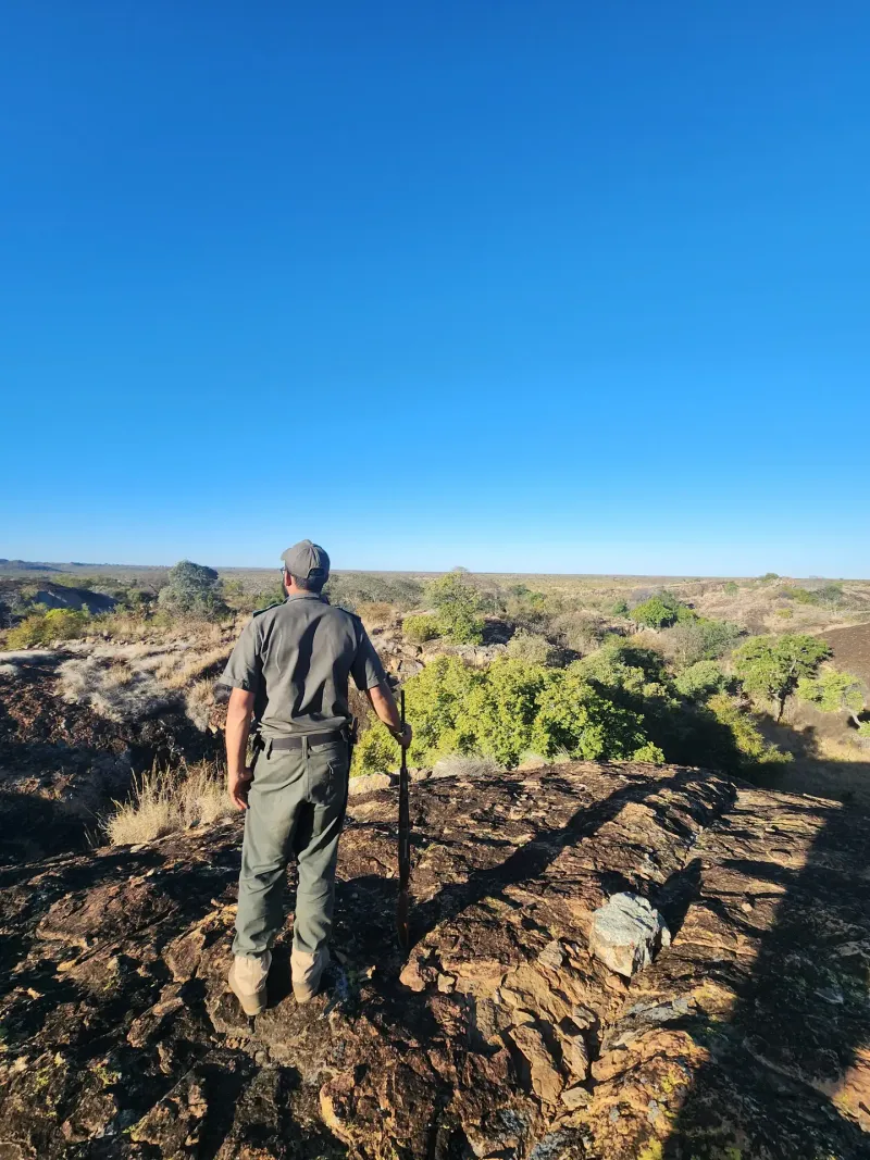 Guide with rifle on rocky hilltop overlook