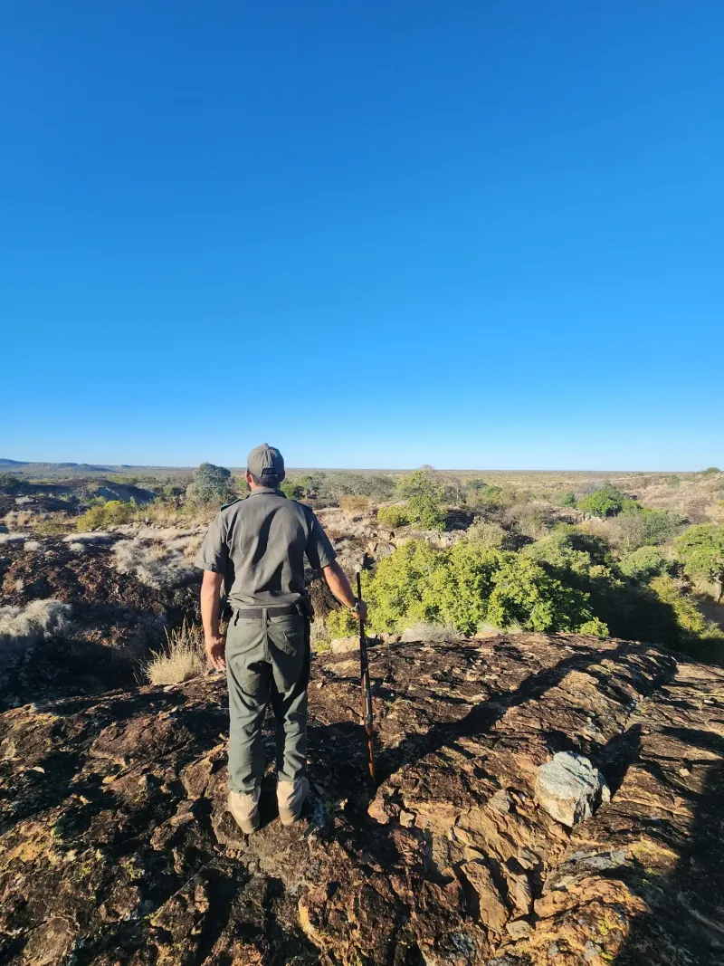 Armed ranger surveying bushveld from rocky outcrop