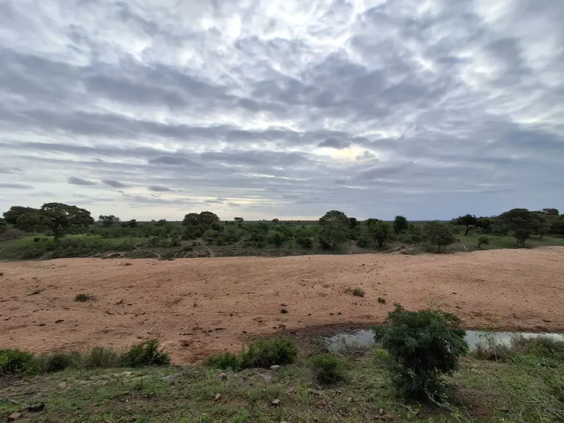 Overcast sky over dry riverbed and savanna
