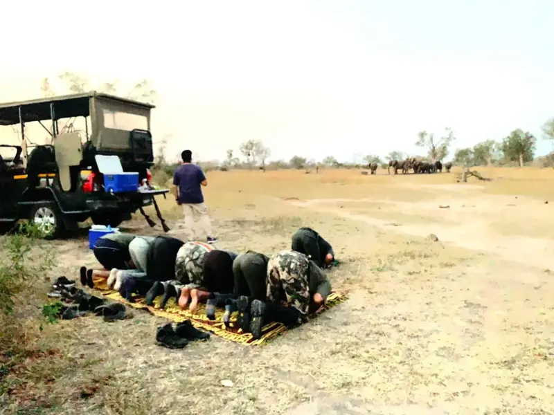 Group praying in bush with elephants nearby