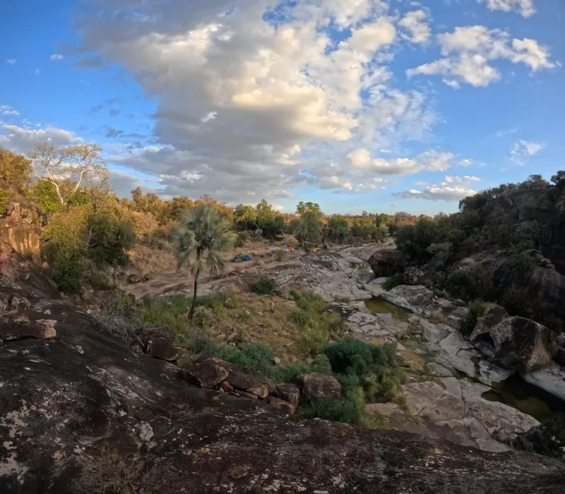 Rocky riverbed with palm tree and clouds