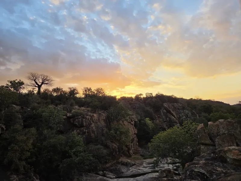 Golden sunset over rocky bushveld cliff face
