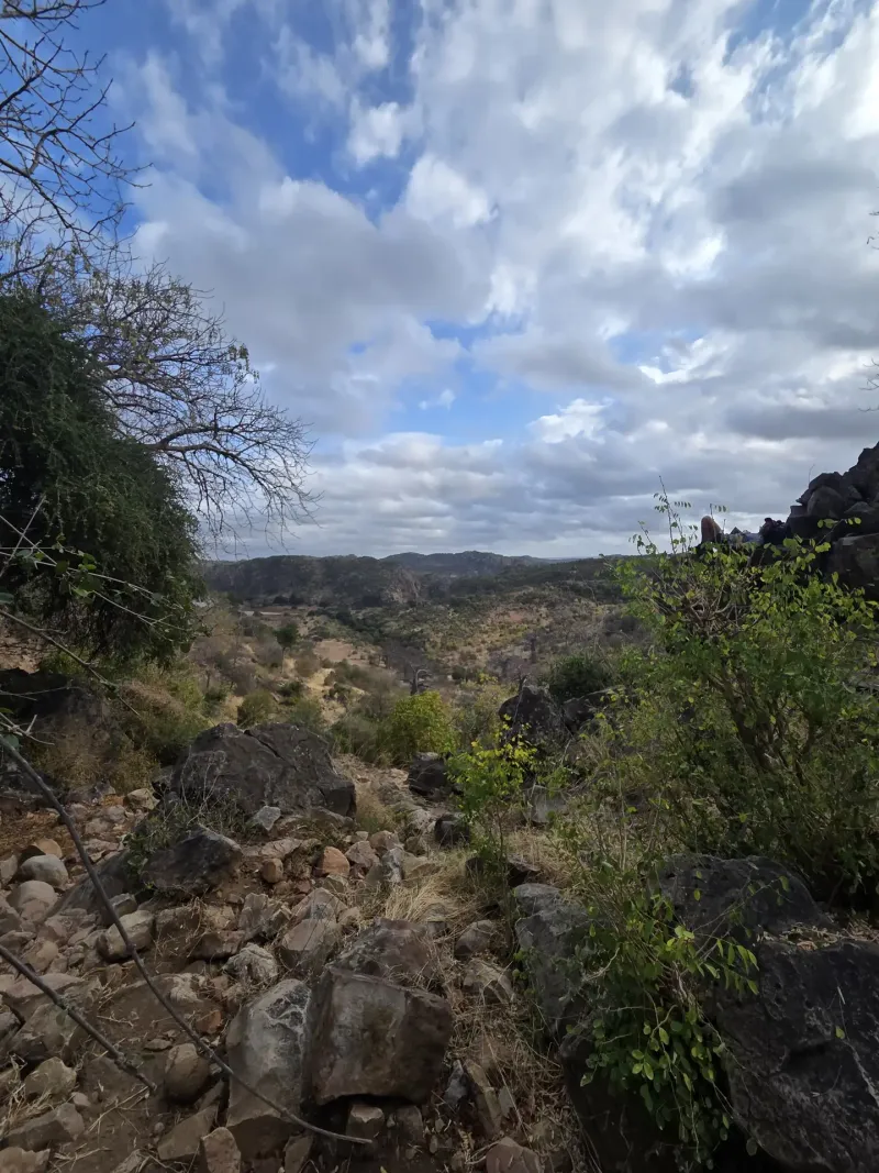 Rocky hillside valley with scattered bush vegetation