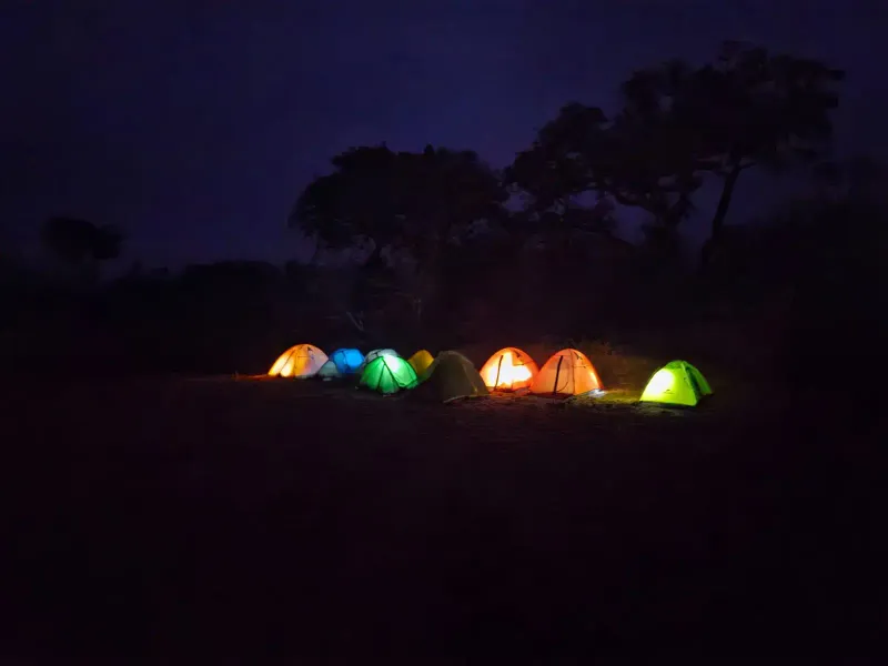 Colorful illuminated tents at bush camp night