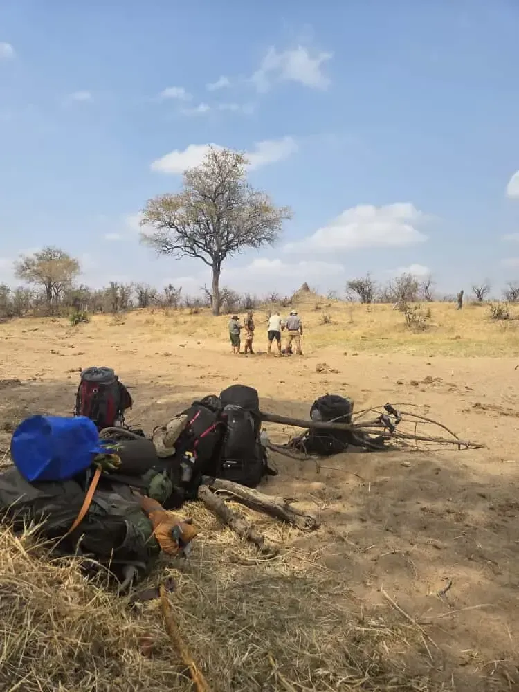 Hikers with backpacks gathering in dry bushveld