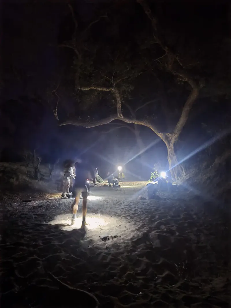 Night camp setup with headlamps under trees