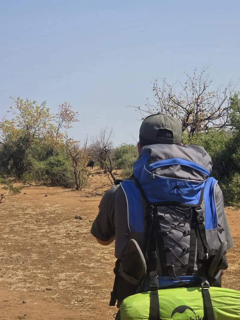 Hiker with backpack spotting wildlife in bush