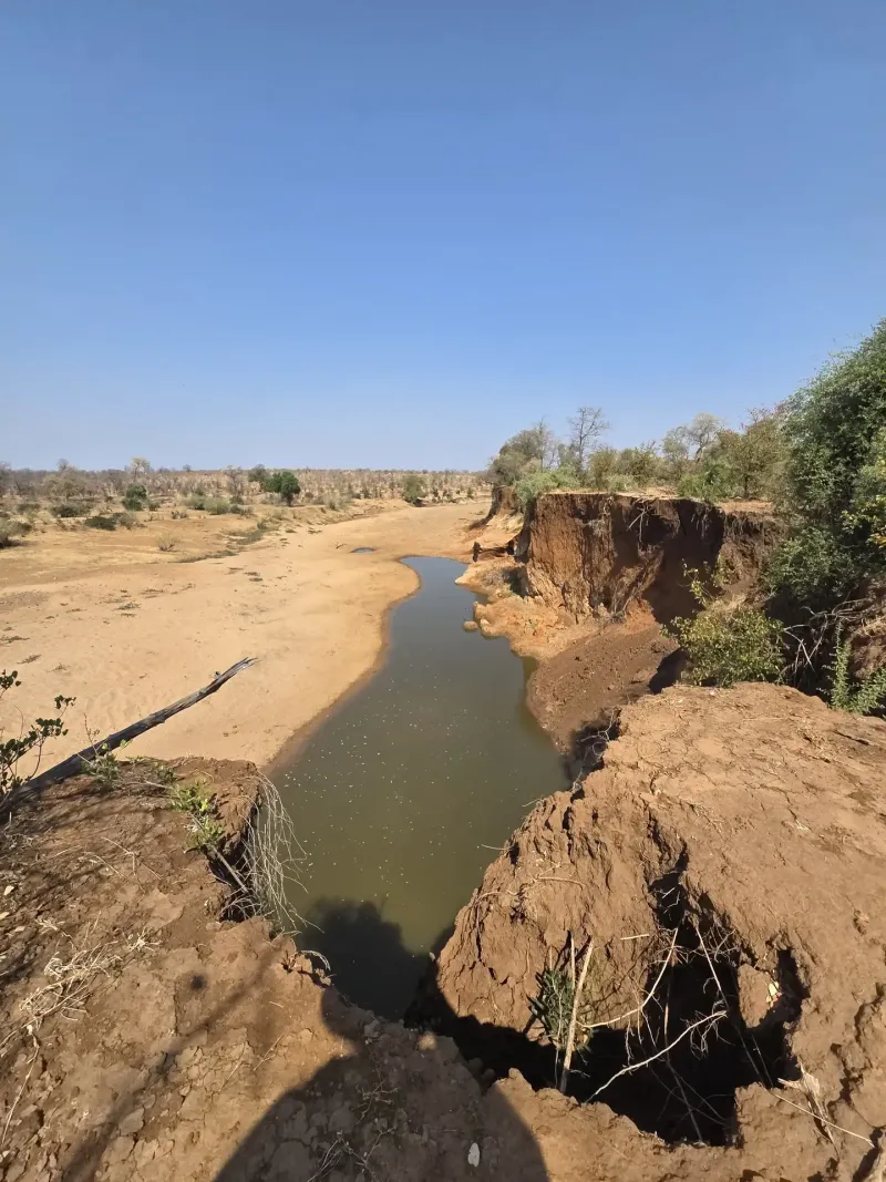 Winding river through dry African bushveld