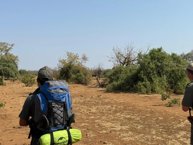Guides trekking through dry bush terrain
