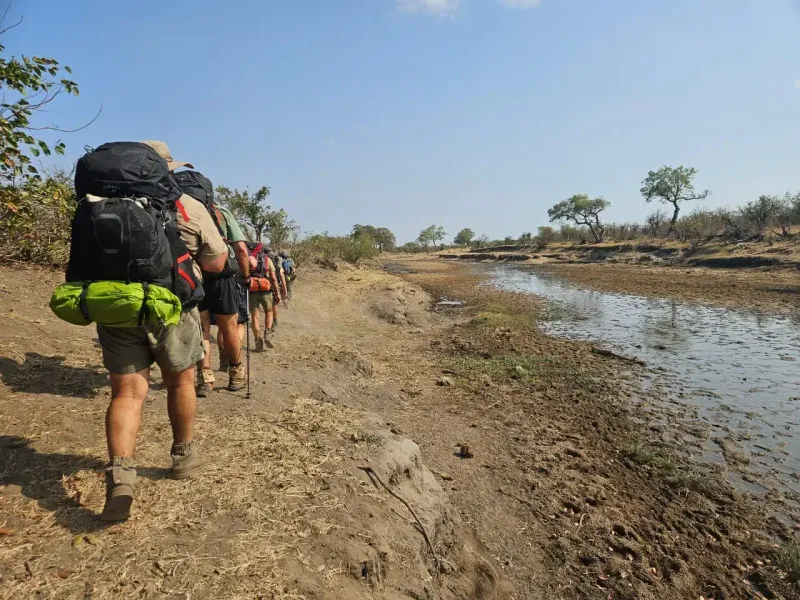 Hikers trekking single file along riverbank