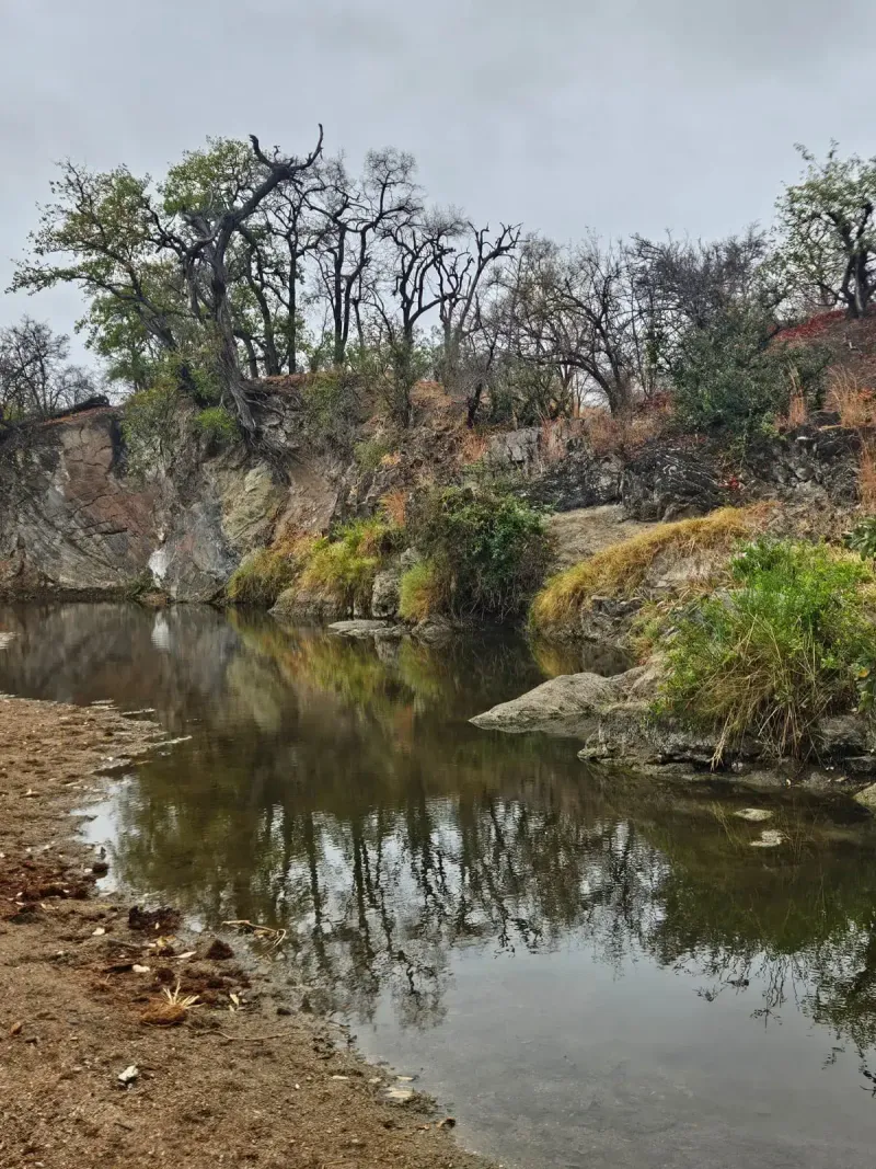 Tranquil river pool with rocky cliff reflections