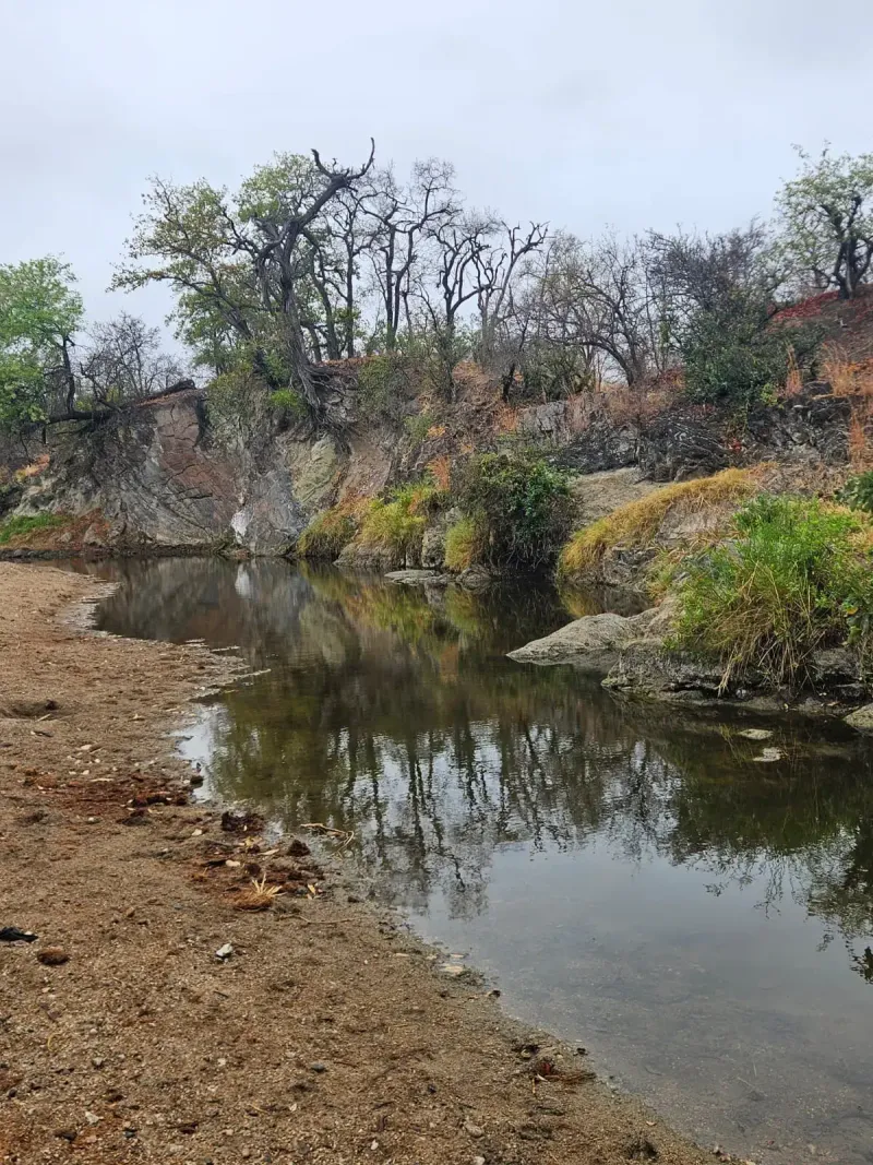 Calm river with rocky banks and trees